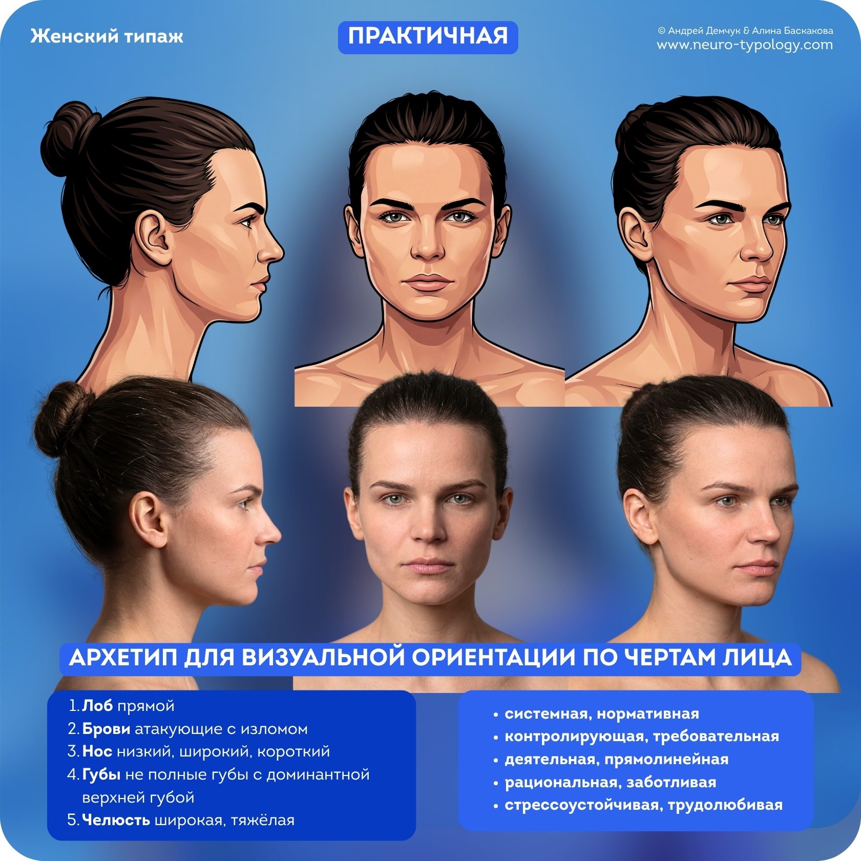 Практичная - черты лица