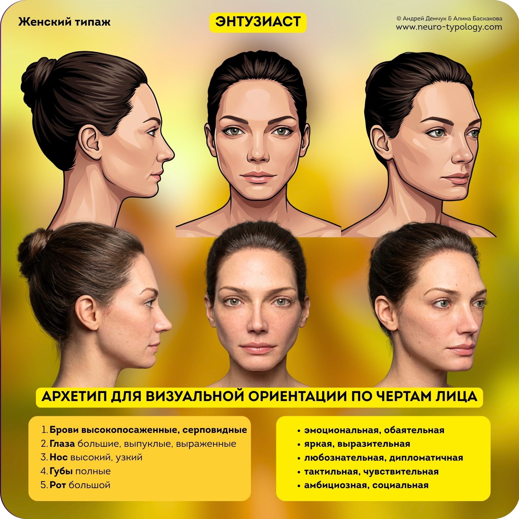 Энтузиаст - черты лица