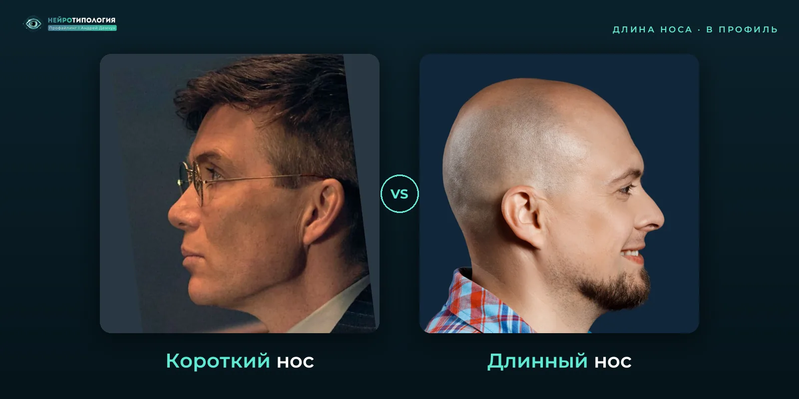 Короткий нос и длинный нос: сравнение, фото в профиль Короткий нос и длинный нос: сравнение, фото в профиль