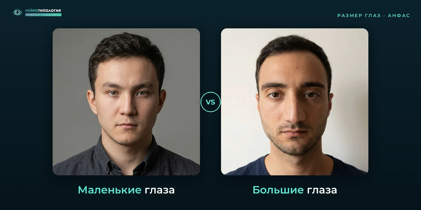 Маленькие глаза и большие глаза: сравнение, фото анфас Маленькие глаза и большие глаза: сравнение, фото анфас