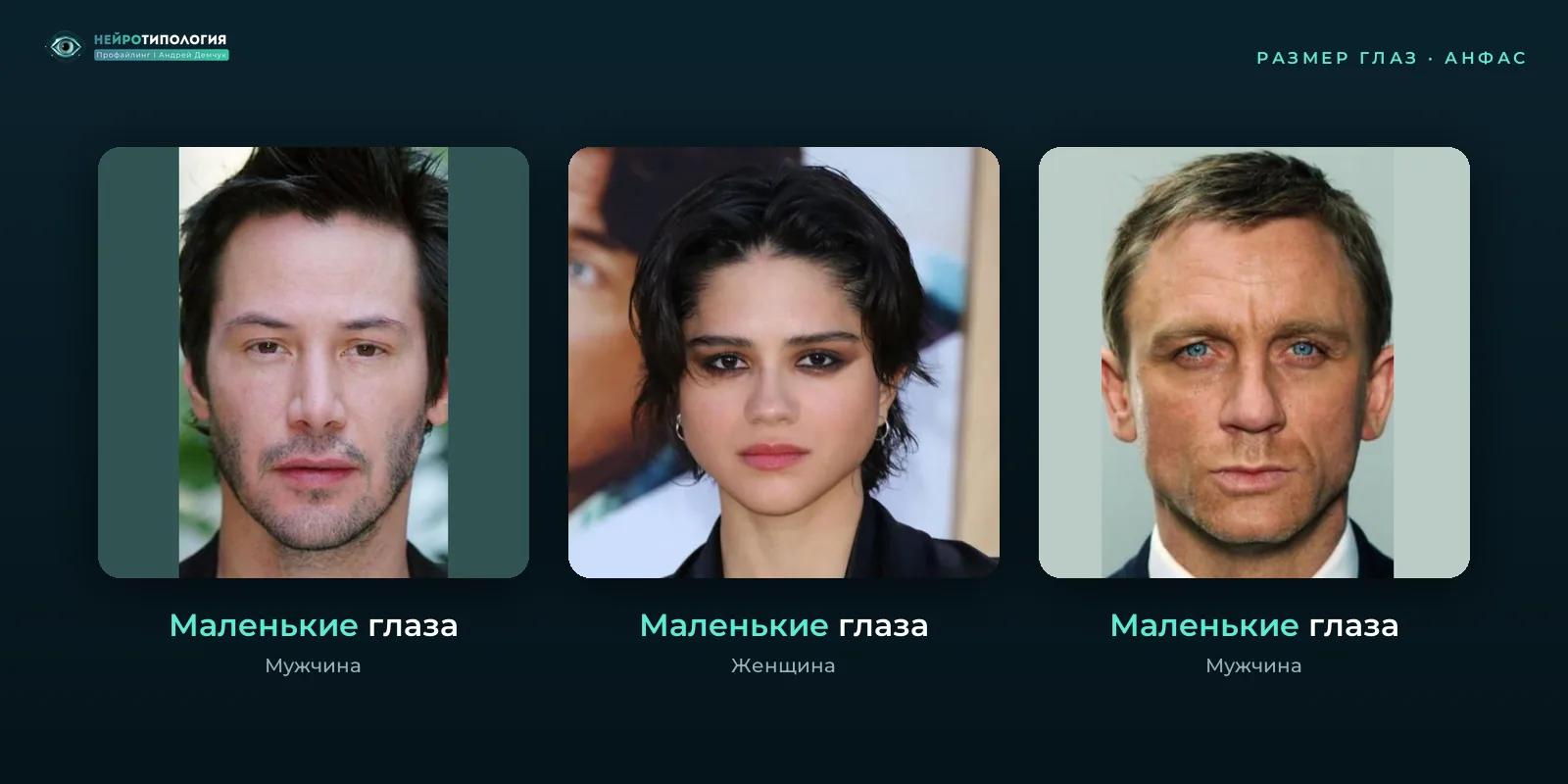 Маленькие глаза у разных людей, фото анфас Маленькие глаза у разных людей, фото анфас