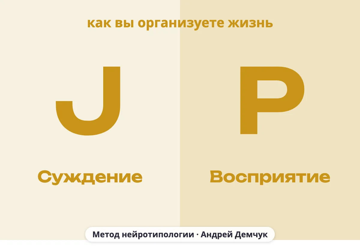Буквы кода MBTI: J (суждение) или P (восприятие), как вы организуете жизнь