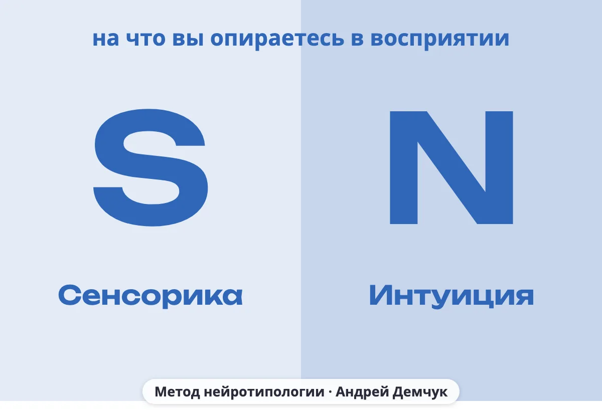 Буквы кода MBTI: S (сенсорика) или N (интуиция), на что вы опираетесь в восприятии