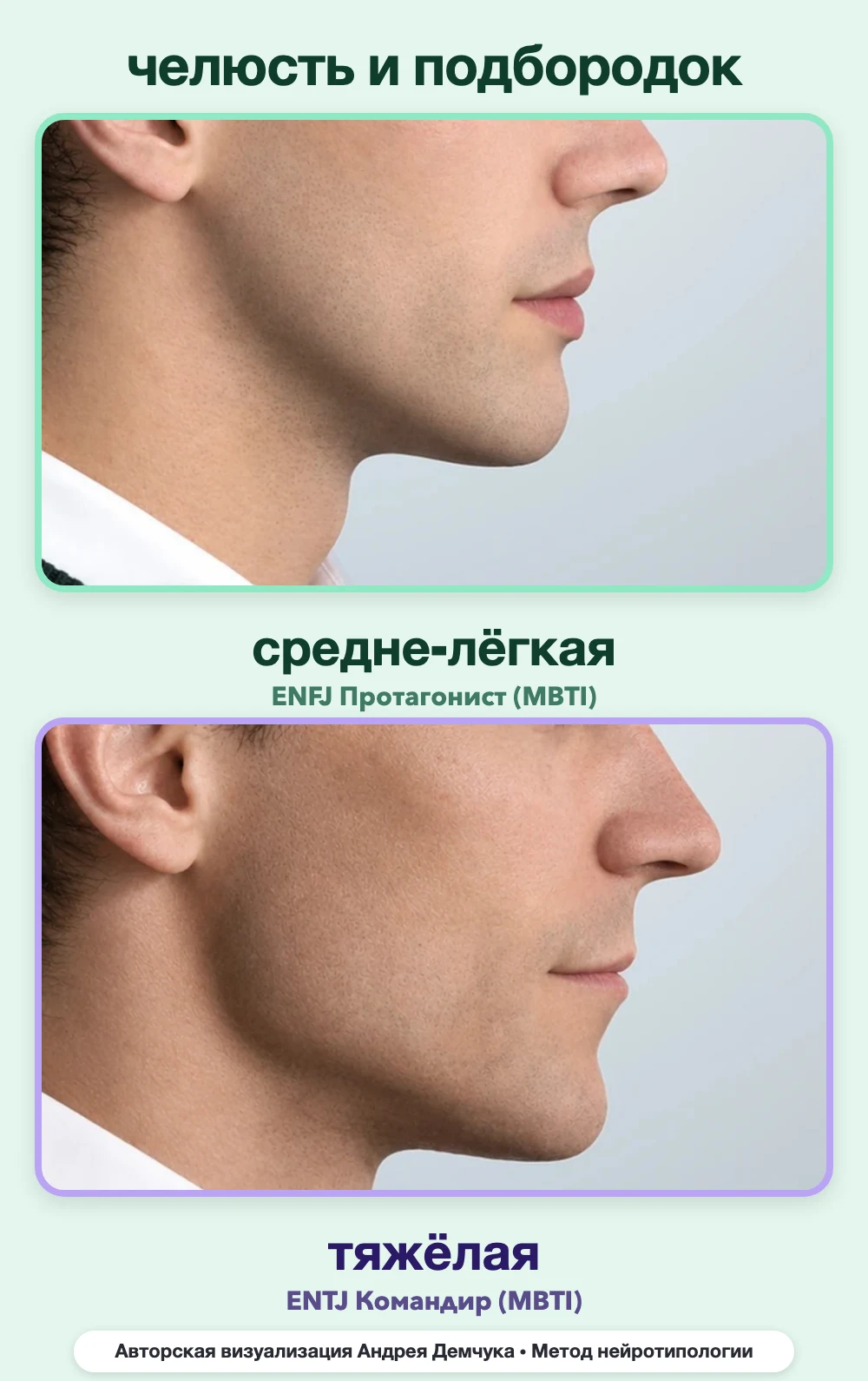 Тяжесть челюсти в нейротипологии, вид в профиль: средне-лёгкая (ENFJ) и тяжёлая (ENTJ), сравнение архетипов Тяжесть челюсти в нейротипологии, вид в профиль: средне-лёгкая (ENFJ) и тяжёлая (ENTJ), сравнение архетипов