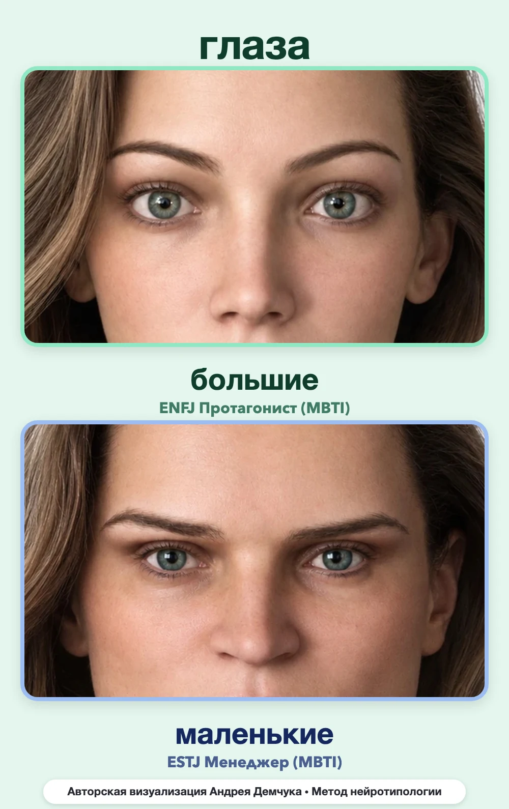Размер глаз в нейротипологии, вид анфас: большие (ENFJ) и маленькие (ESTJ), сравнение архетипов Размер глаз в нейротипологии, вид анфас: большие (ENFJ) и маленькие (ESTJ), сравнение архетипов