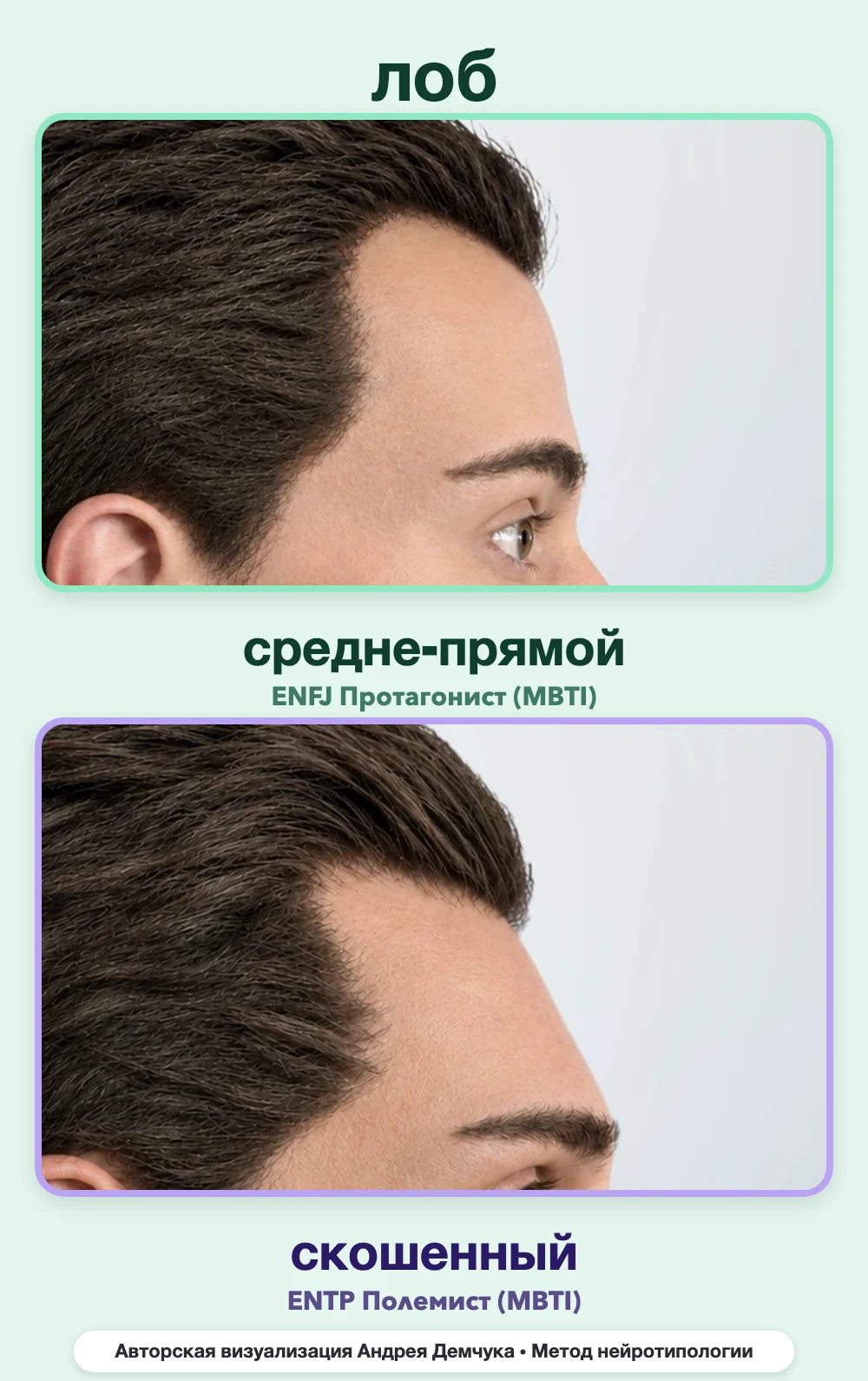 Скос лба в нейротипологии, вид в профиль: средне-прямой (ENFJ) и скошенный (ENTP), сравнение архетипов Скос лба в нейротипологии, вид в профиль: средне-прямой (ENFJ) и скошенный (ENTP), сравнение архетипов