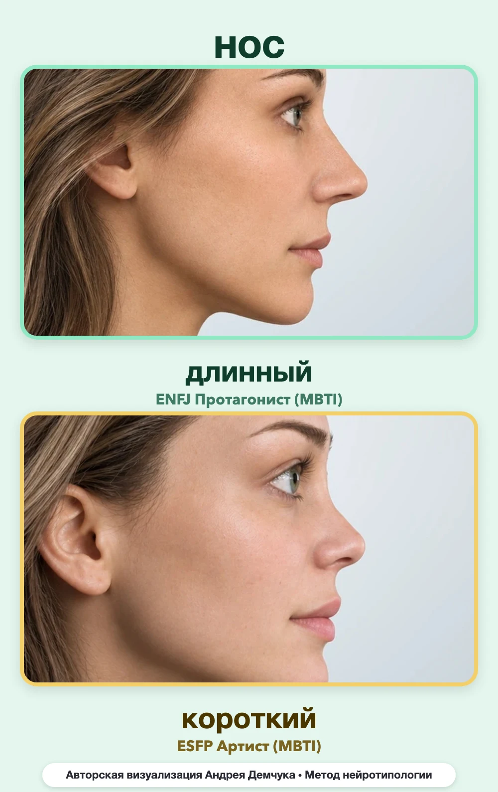 Длина носа в нейротипологии, вид в профиль: длинный (ENFJ) и короткий (ESFP), сравнение архетипов Длина носа в нейротипологии, вид в профиль: длинный (ENFJ) и короткий (ESFP), сравнение архетипов