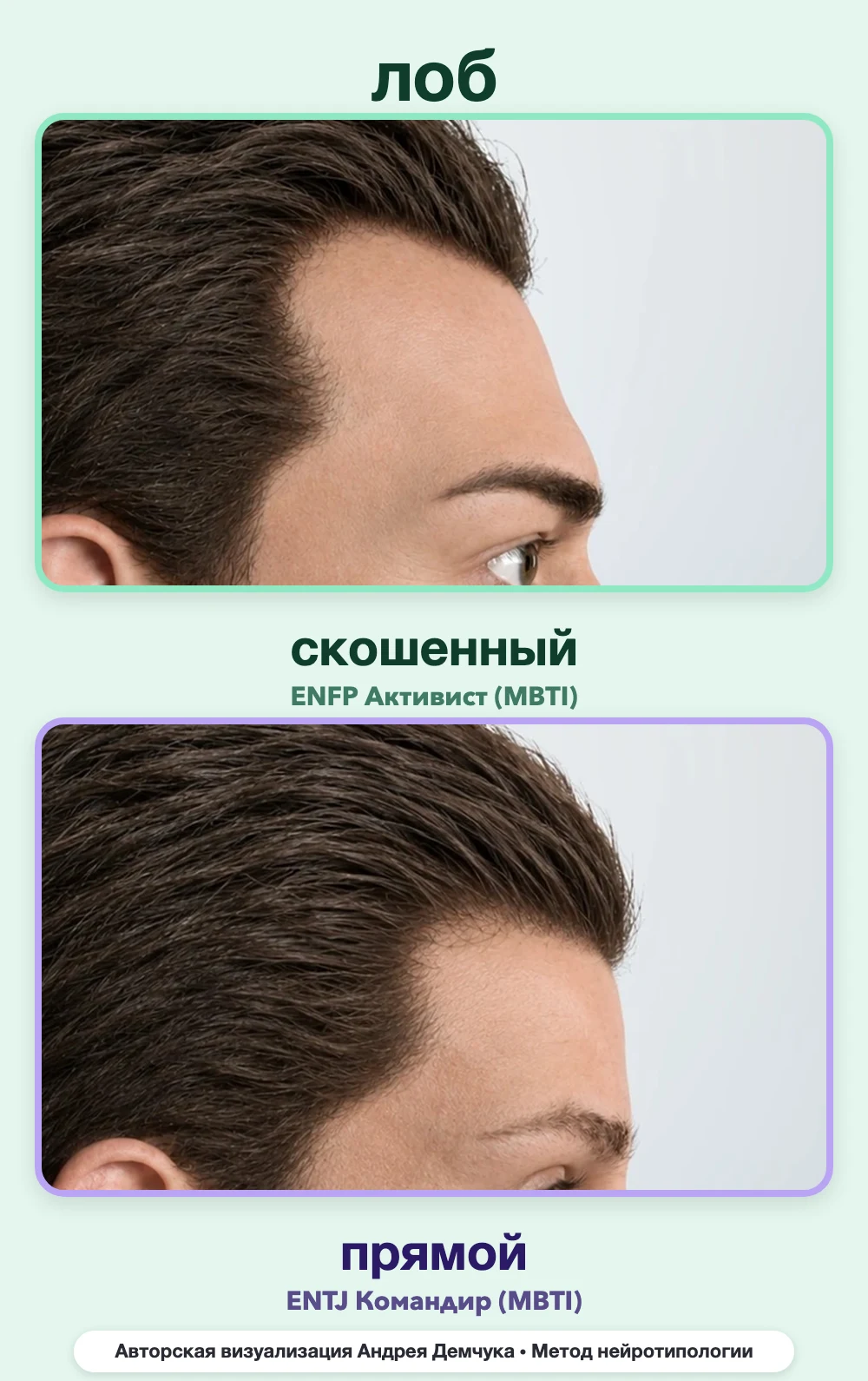 Скос лба в нейротипологии, вид в профиль: скошенный (ENFP) и прямой (ENTJ), сравнение архетипов Скос лба в нейротипологии, вид в профиль: скошенный (ENFP) и прямой (ENTJ), сравнение архетипов