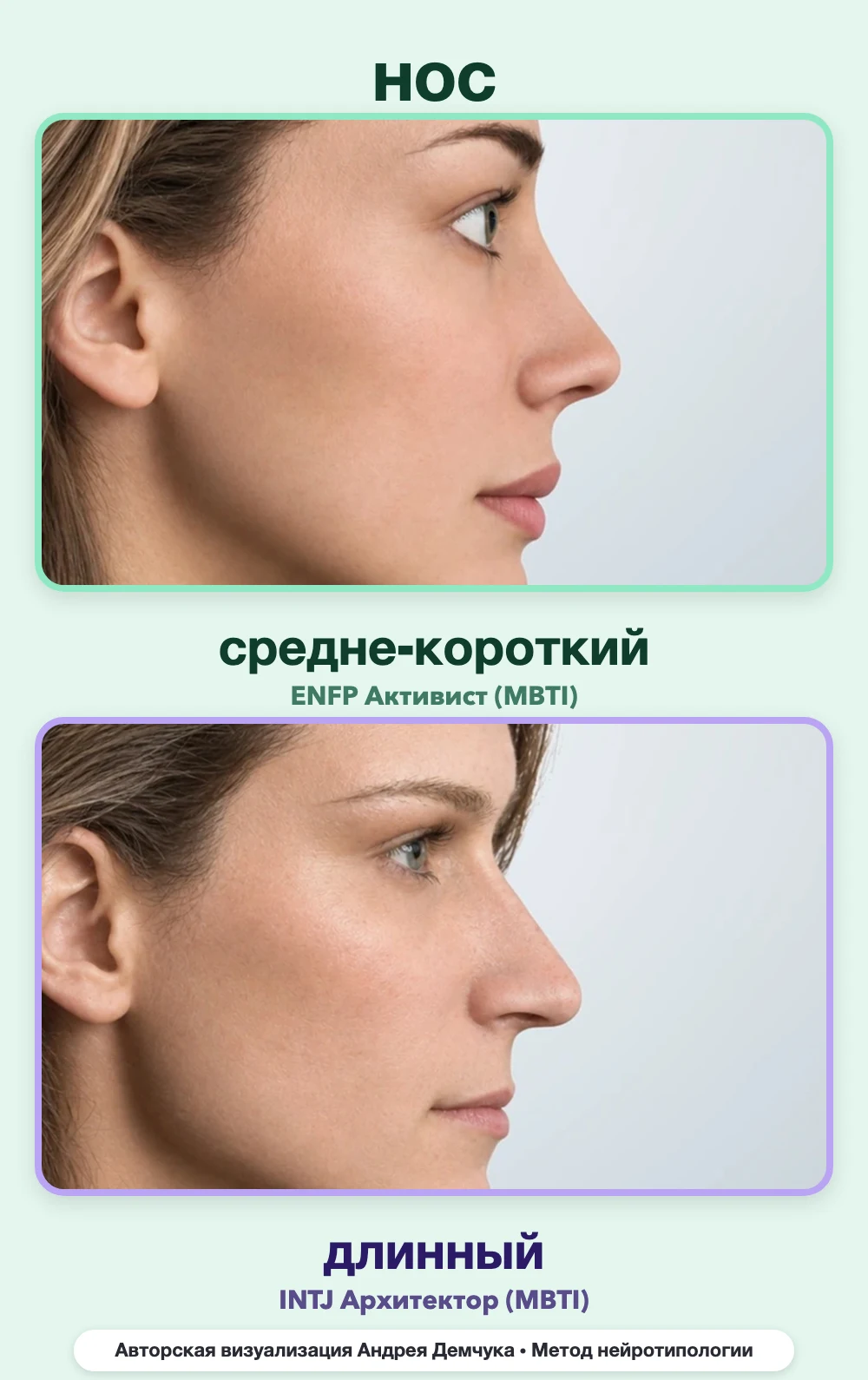 Длина носа в нейротипологии, вид в профиль: средне-короткий (ENFP) и длинный (INTJ), сравнение архетипов Длина носа в нейротипологии, вид в профиль: средне-короткий (ENFP) и длинный (INTJ), сравнение архетипов