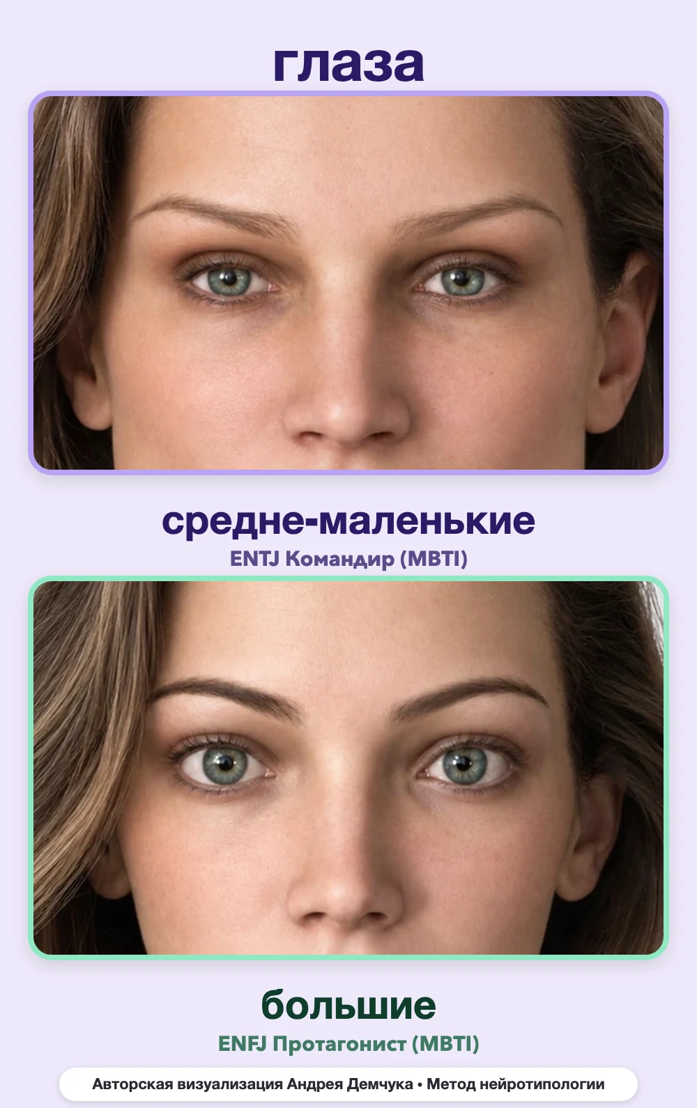 Размер глаз в нейротипологии, вид анфас: средне-маленькие (ENTJ) и большие (ENFJ), сравнение архетипов Размер глаз в нейротипологии, вид анфас: средне-маленькие (ENTJ) и большие (ENFJ), сравнение архетипов