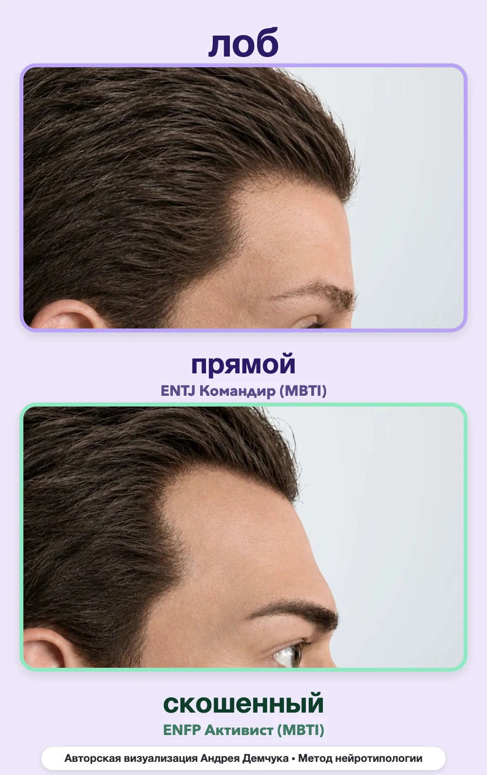 Скос лба в нейротипологии, вид в профиль: прямой (ENTJ) и скошенный (ENFP), сравнение архетипов Скос лба в нейротипологии, вид в профиль: прямой (ENTJ) и скошенный (ENFP), сравнение архетипов
