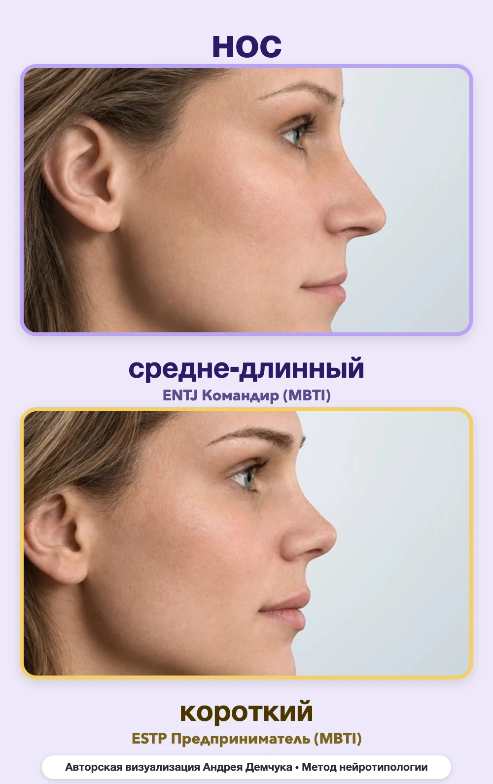 Длина носа в нейротипологии, вид в профиль: средне-длинный (ENTJ) и короткий (ESTP), сравнение архетипов Длина носа в нейротипологии, вид в профиль: средне-длинный (ENTJ) и короткий (ESTP), сравнение архетипов