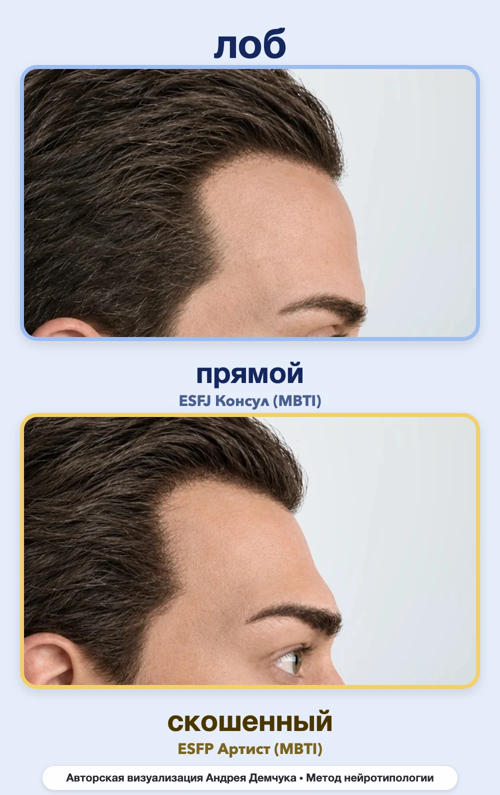 Скос лба в нейротипологии, вид в профиль: прямой (ESFJ) и скошенный (ESFP), сравнение архетипов Скос лба в нейротипологии, вид в профиль: прямой (ESFJ) и скошенный (ESFP), сравнение архетипов
