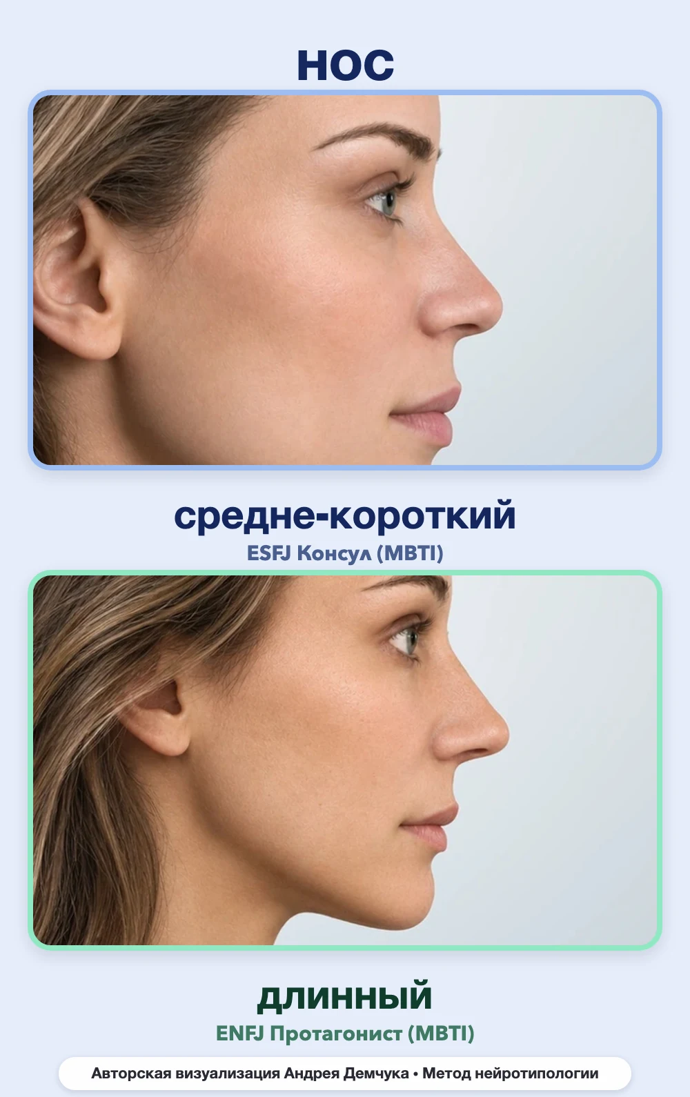 Длина носа в нейротипологии, вид в профиль: средне-короткий (ESFJ) и длинный (ENFJ), сравнение архетипов Длина носа в нейротипологии, вид в профиль: средне-короткий (ESFJ) и длинный (ENFJ), сравнение архетипов