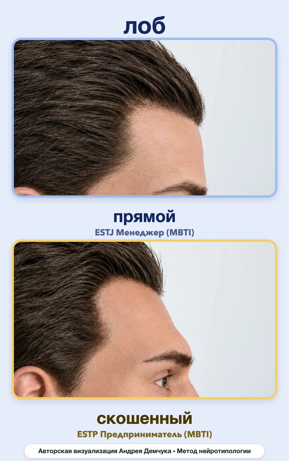 Скос лба в нейротипологии, вид в профиль: прямой (ESTJ) и скошенный (ESTP), сравнение архетипов Скос лба в нейротипологии, вид в профиль: прямой (ESTJ) и скошенный (ESTP), сравнение архетипов