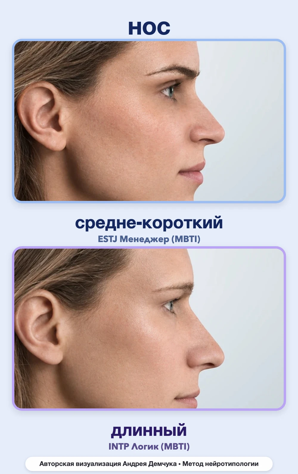 Длина носа в нейротипологии, вид в профиль: средне-короткий (ESTJ) и длинный (INTP), сравнение архетипов Длина носа в нейротипологии, вид в профиль: средне-короткий (ESTJ) и длинный (INTP), сравнение архетипов