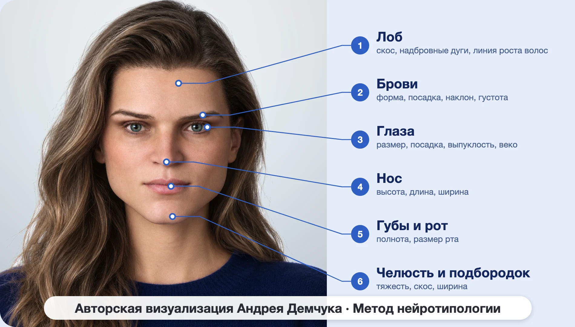 ESTJ Менеджер (MBTI): схема шести зон лица, женщина, анфас ESTJ Менеджер (MBTI): схема шести зон лица, женщина, анфас