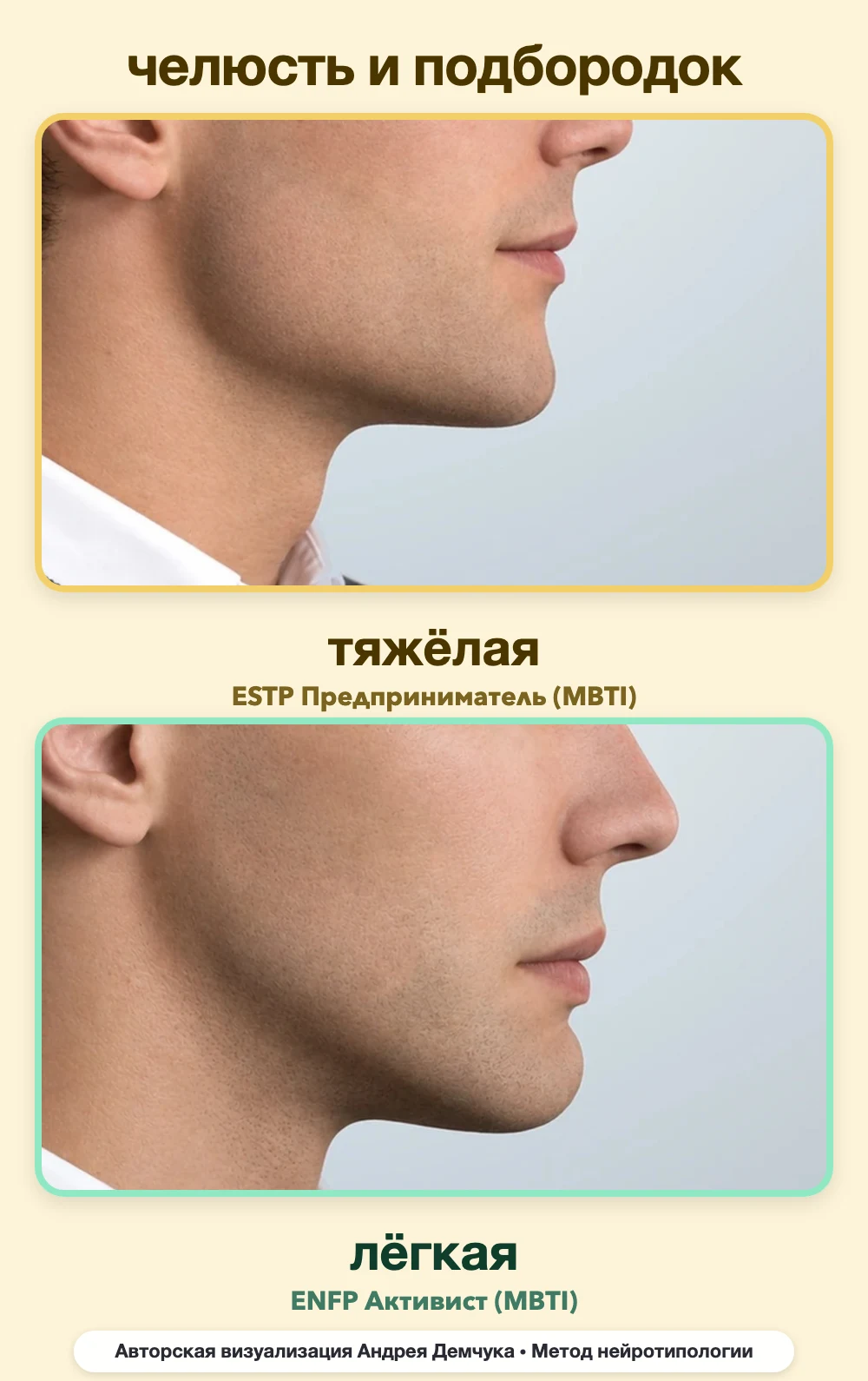 Тяжесть челюсти в нейротипологии, вид в профиль: тяжёлая (ESTP) и лёгкая (ENFP), сравнение архетипов Тяжесть челюсти в нейротипологии, вид в профиль: тяжёлая (ESTP) и лёгкая (ENFP), сравнение архетипов