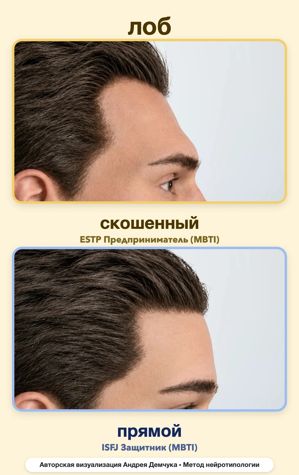 Скос лба в нейротипологии, вид в профиль: скошенный (ESTP) и прямой (ISFJ), сравнение архетипов Скос лба в нейротипологии, вид в профиль: скошенный (ESTP) и прямой (ISFJ), сравнение архетипов