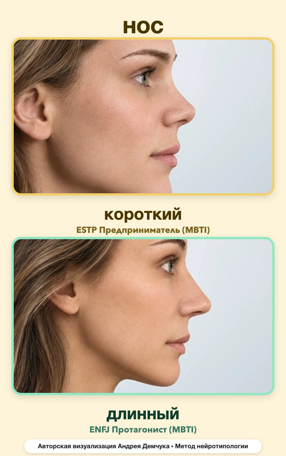 Длина носа в нейротипологии, вид в профиль: короткий (ESTP) и длинный (ENFJ), сравнение архетипов Длина носа в нейротипологии, вид в профиль: короткий (ESTP) и длинный (ENFJ), сравнение архетипов