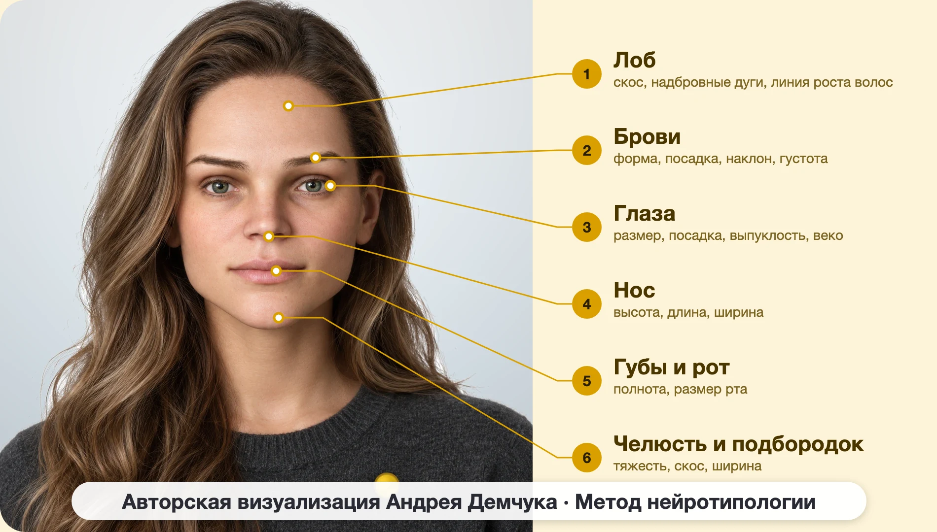 ESTP Предприниматель (MBTI): схема шести зон лица, женщина, анфас ESTP Предприниматель (MBTI): схема шести зон лица, женщина, анфас