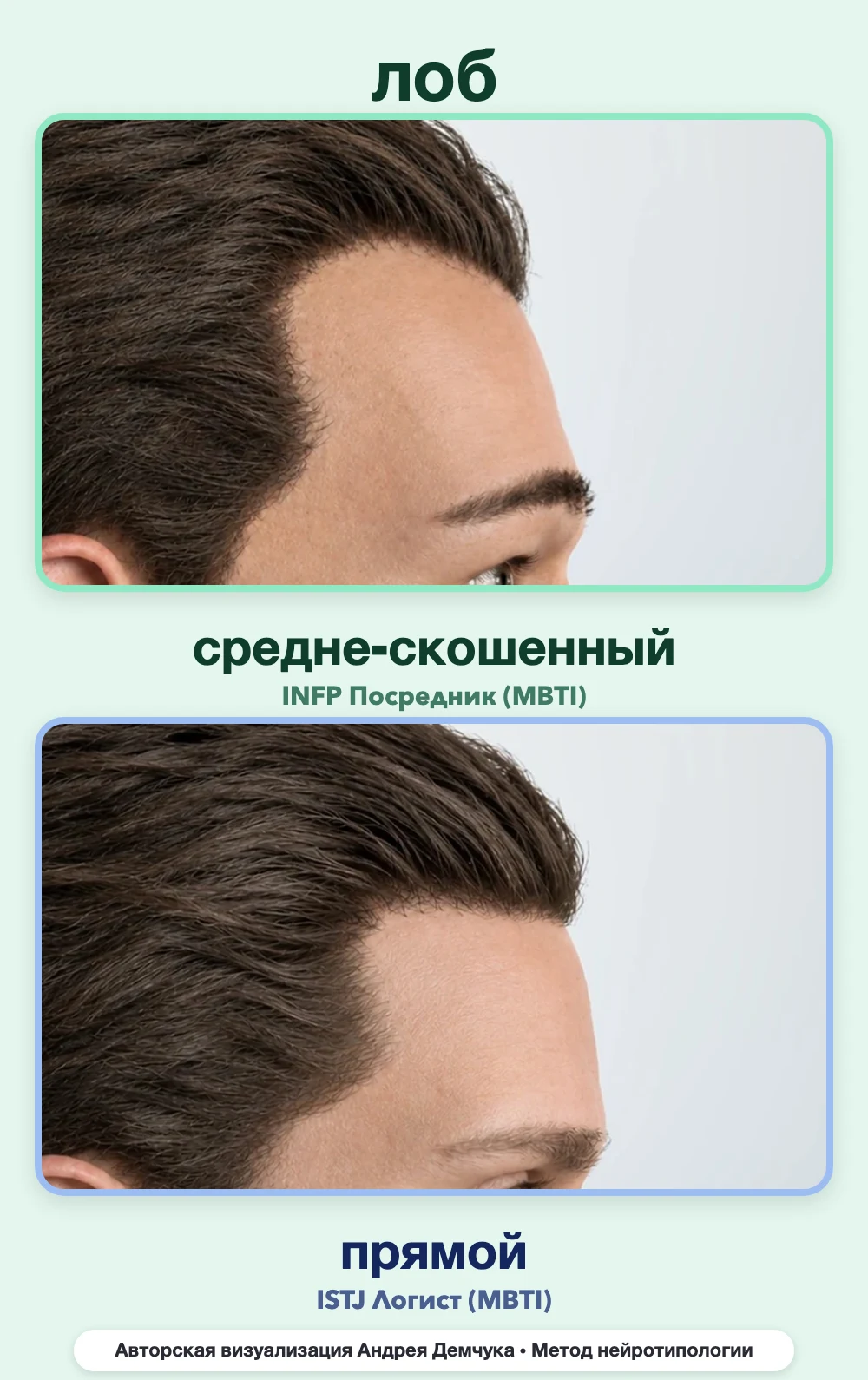 Скос лба в нейротипологии, вид в профиль: средне-скошенный (INFP) и прямой (ISTJ), сравнение архетипов Скос лба в нейротипологии, вид в профиль: средне-скошенный (INFP) и прямой (ISTJ), сравнение архетипов