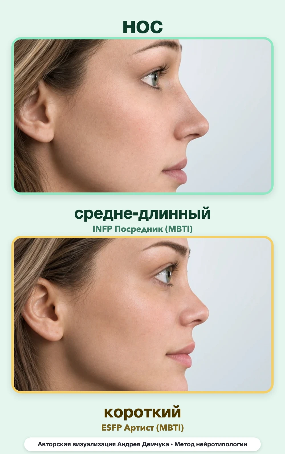 Длина носа в нейротипологии, вид в профиль: средне-длинный (INFP) и короткий (ESFP), сравнение архетипов Длина носа в нейротипологии, вид в профиль: средне-длинный (INFP) и короткий (ESFP), сравнение архетипов