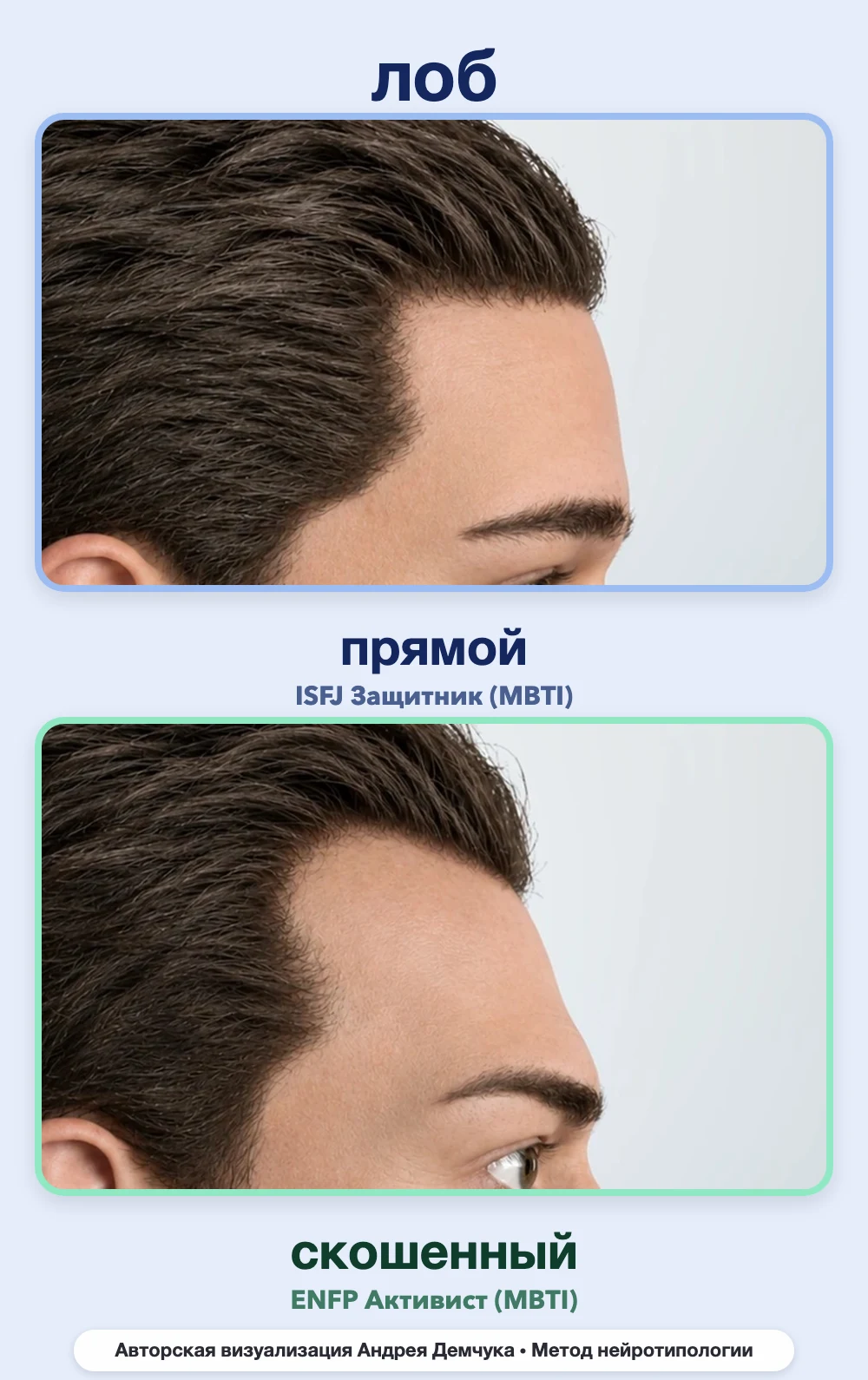 Скос лба в нейротипологии, вид в профиль: прямой (ISFJ) и скошенный (ENFP), сравнение архетипов Скос лба в нейротипологии, вид в профиль: прямой (ISFJ) и скошенный (ENFP), сравнение архетипов