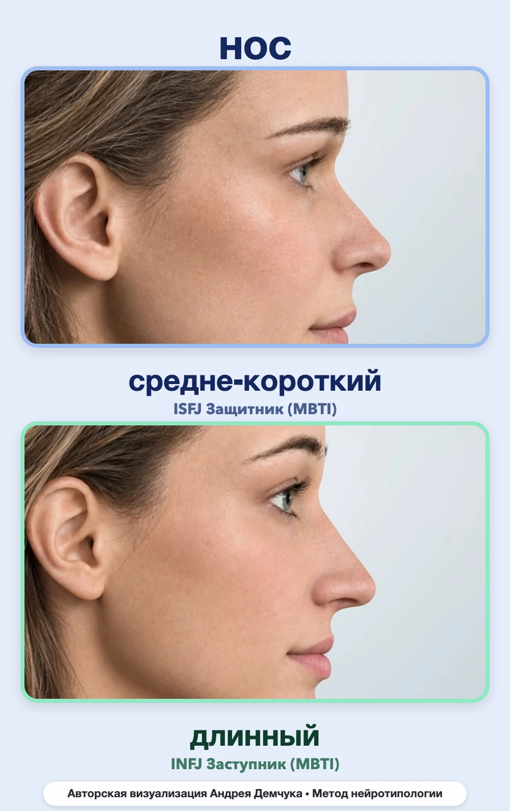 Длина носа в нейротипологии, вид в профиль: средне-короткий (ISFJ) и длинный (INFJ), сравнение архетипов Длина носа в нейротипологии, вид в профиль: средне-короткий (ISFJ) и длинный (INFJ), сравнение архетипов