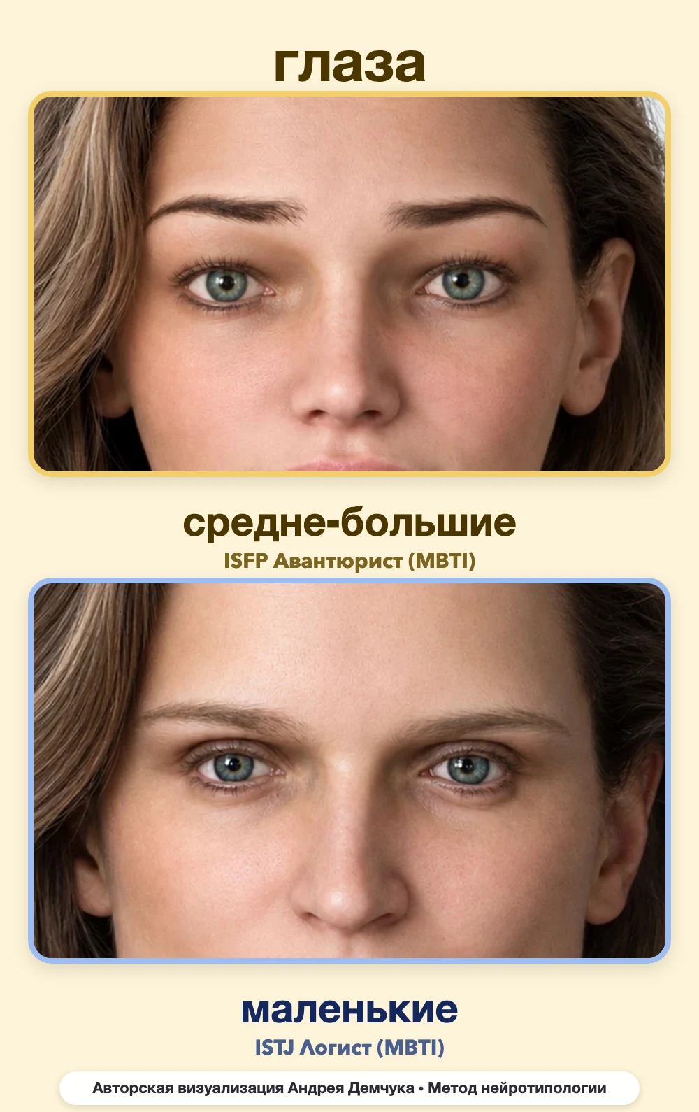 Размер глаз в нейротипологии, вид анфас: средне-большие (ISFP) и маленькие (ISTJ), сравнение архетипов Размер глаз в нейротипологии, вид анфас: средне-большие (ISFP) и маленькие (ISTJ), сравнение архетипов