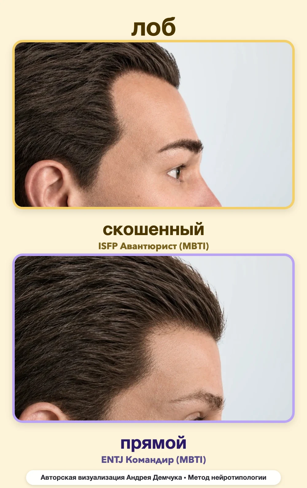 Скос лба в нейротипологии, вид в профиль: скошенный (ISFP) и прямой (ENTJ), сравнение архетипов Скос лба в нейротипологии, вид в профиль: скошенный (ISFP) и прямой (ENTJ), сравнение архетипов