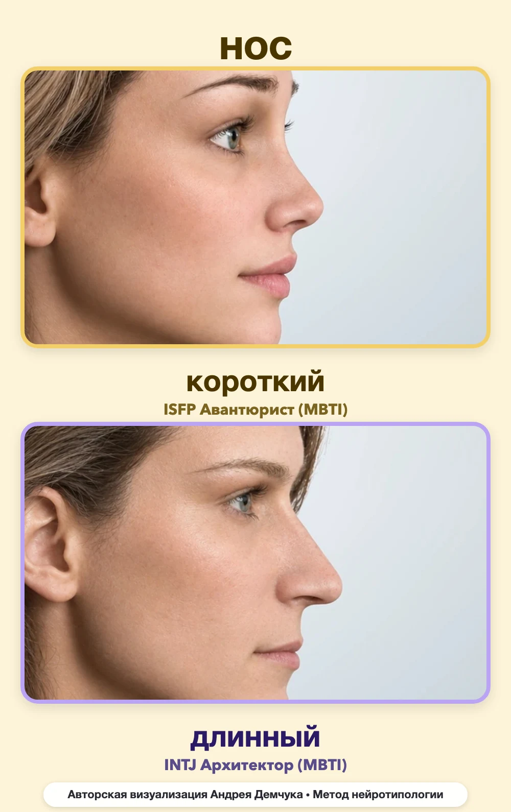 Длина носа в нейротипологии, вид в профиль: короткий (ISFP) и длинный (INTJ), сравнение архетипов Длина носа в нейротипологии, вид в профиль: короткий (ISFP) и длинный (INTJ), сравнение архетипов