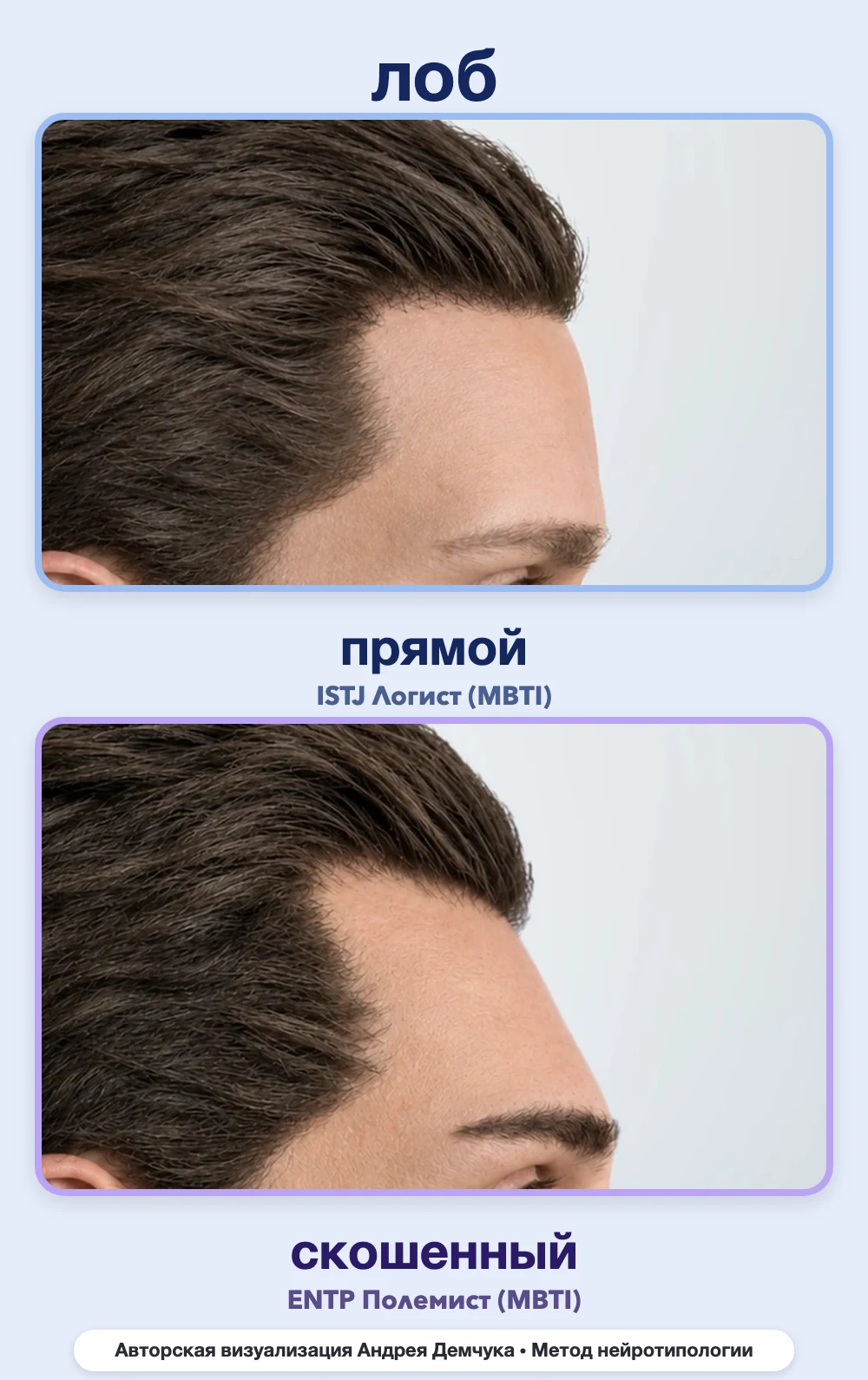 Скос лба в нейротипологии, вид в профиль: прямой (ISTJ) и скошенный (ENTP), сравнение архетипов Скос лба в нейротипологии, вид в профиль: прямой (ISTJ) и скошенный (ENTP), сравнение архетипов