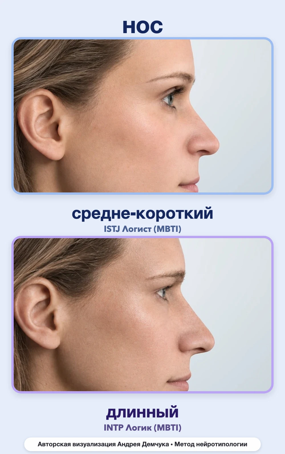 Длина носа в нейротипологии, вид в профиль: средне-короткий (ISTJ) и длинный (INTP), сравнение архетипов Длина носа в нейротипологии, вид в профиль: средне-короткий (ISTJ) и длинный (INTP), сравнение архетипов