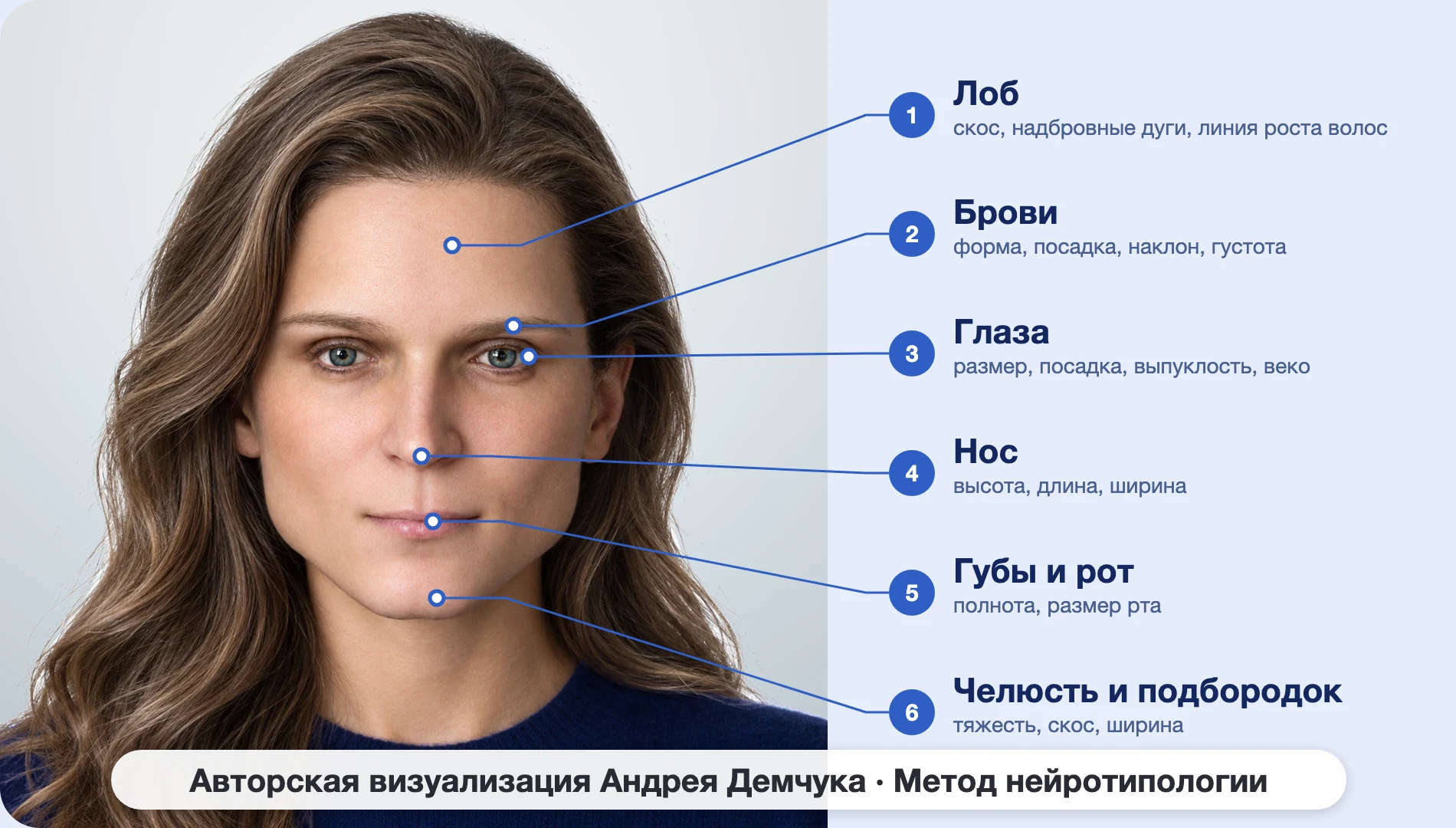 ISTJ Логист (MBTI): схема шести зон лица, женщина, анфас ISTJ Логист (MBTI): схема шести зон лица, женщина, анфас