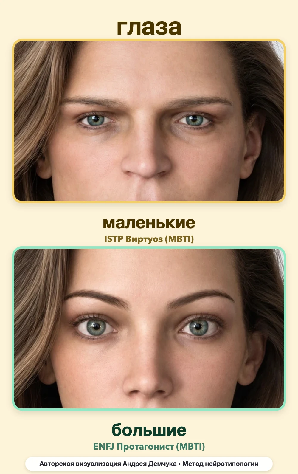 Размер глаз в нейротипологии, вид анфас: маленькие (ISTP) и большие (ENFJ), сравнение архетипов Размер глаз в нейротипологии, вид анфас: маленькие (ISTP) и большие (ENFJ), сравнение архетипов