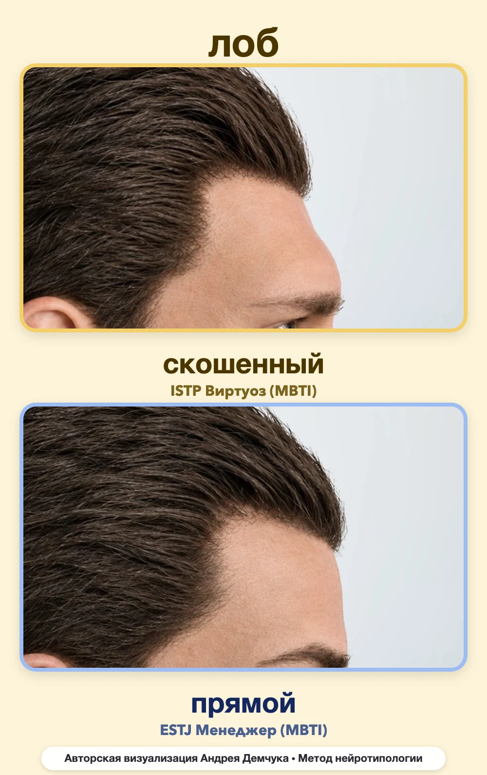 Скос лба в нейротипологии, вид в профиль: скошенный (ISTP) и прямой (ESTJ), сравнение архетипов Скос лба в нейротипологии, вид в профиль: скошенный (ISTP) и прямой (ESTJ), сравнение архетипов
