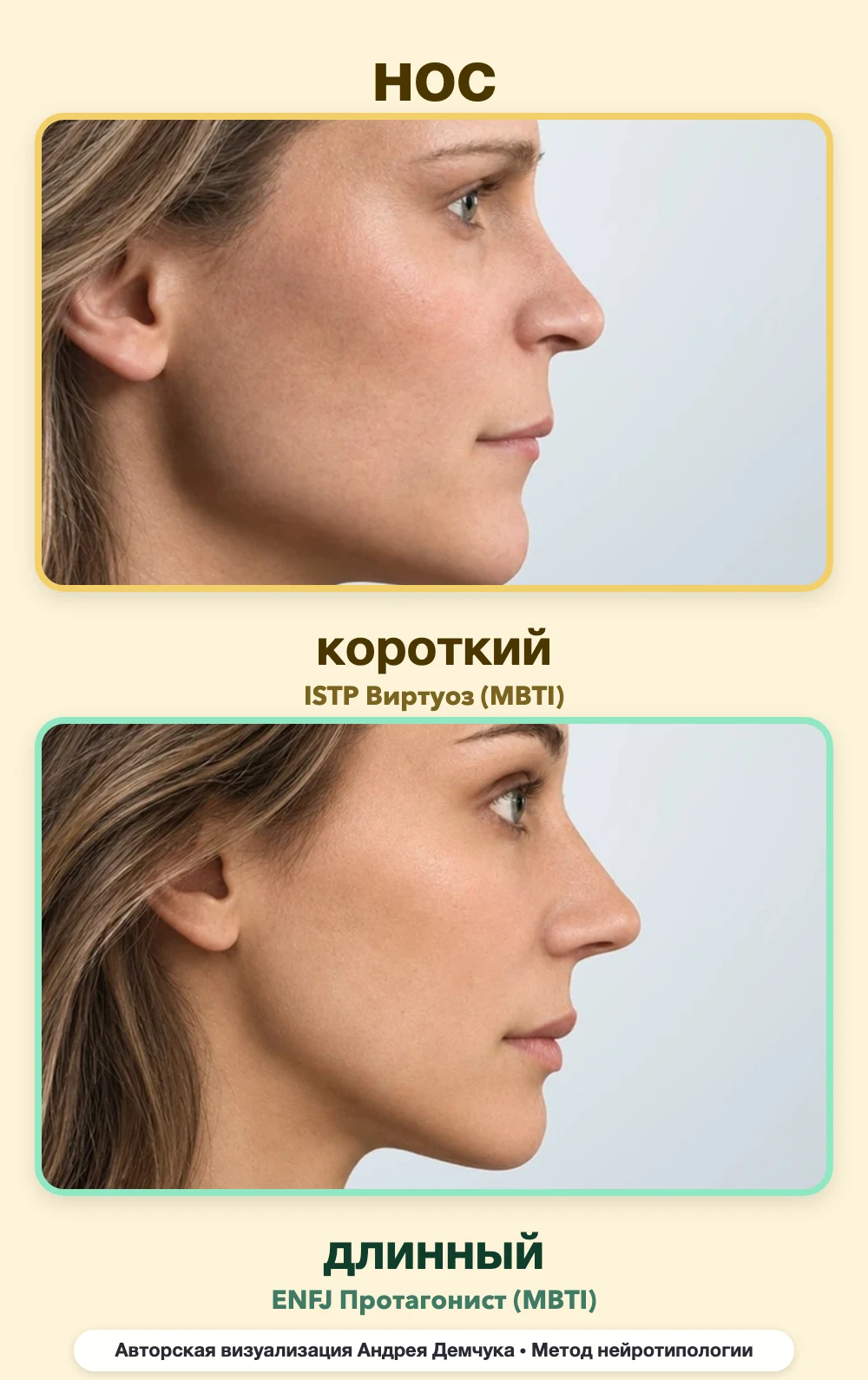Длина носа в нейротипологии, вид в профиль: короткий (ISTP) и длинный (ENFJ), сравнение архетипов Длина носа в нейротипологии, вид в профиль: короткий (ISTP) и длинный (ENFJ), сравнение архетипов