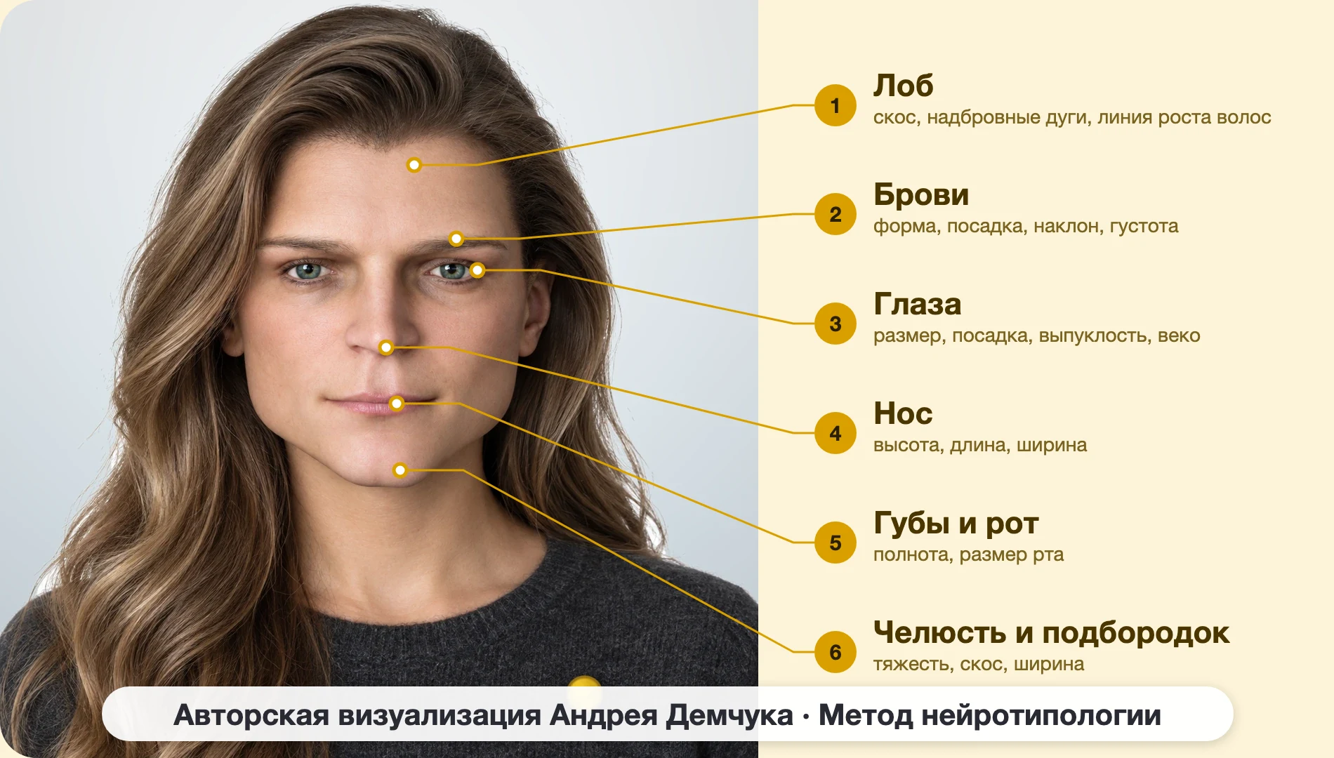ISTP Виртуоз (MBTI): схема шести зон лица, женщина, анфас ISTP Виртуоз (MBTI): схема шести зон лица, женщина, анфас