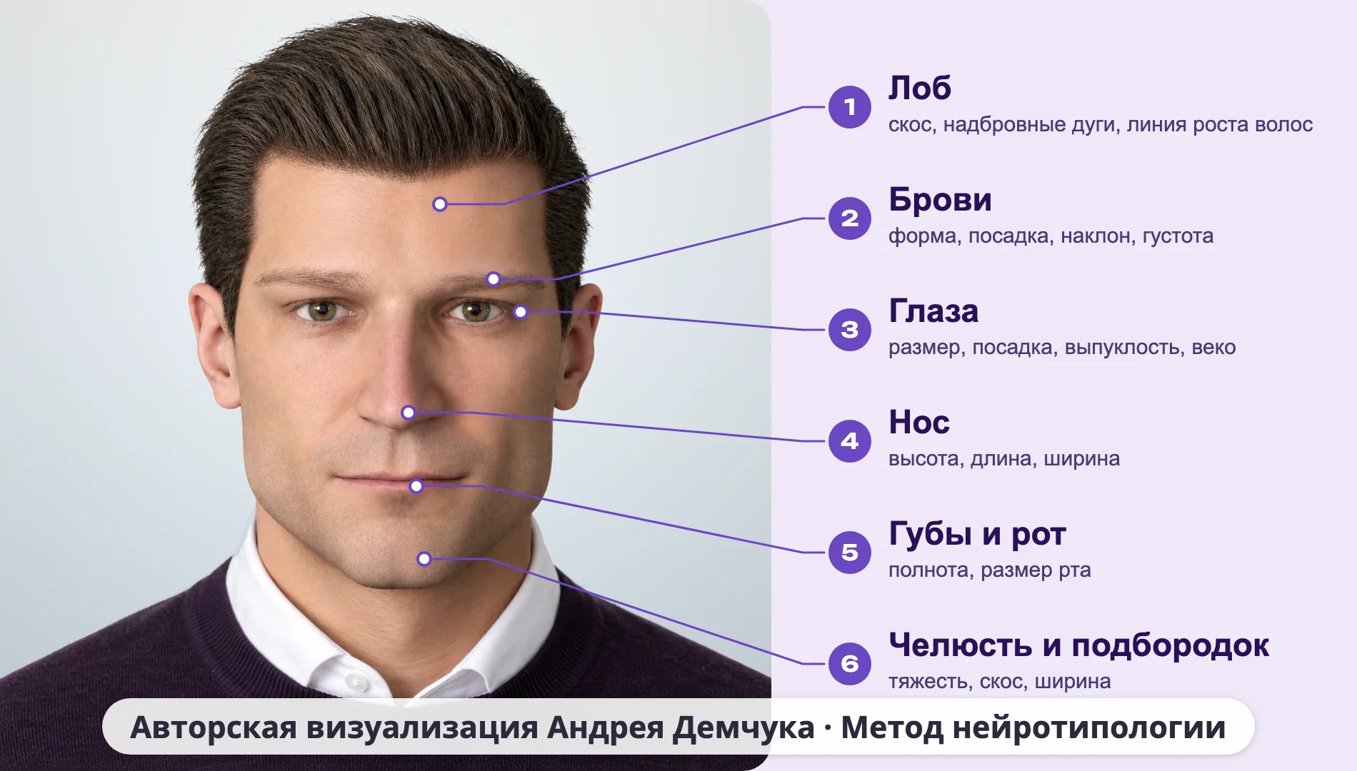 Схема зон лица в нейротипологии: 1 лоб, 2 брови, 3 глаза, 4 нос, 5 губы и рот, 6 челюсть и подбородок