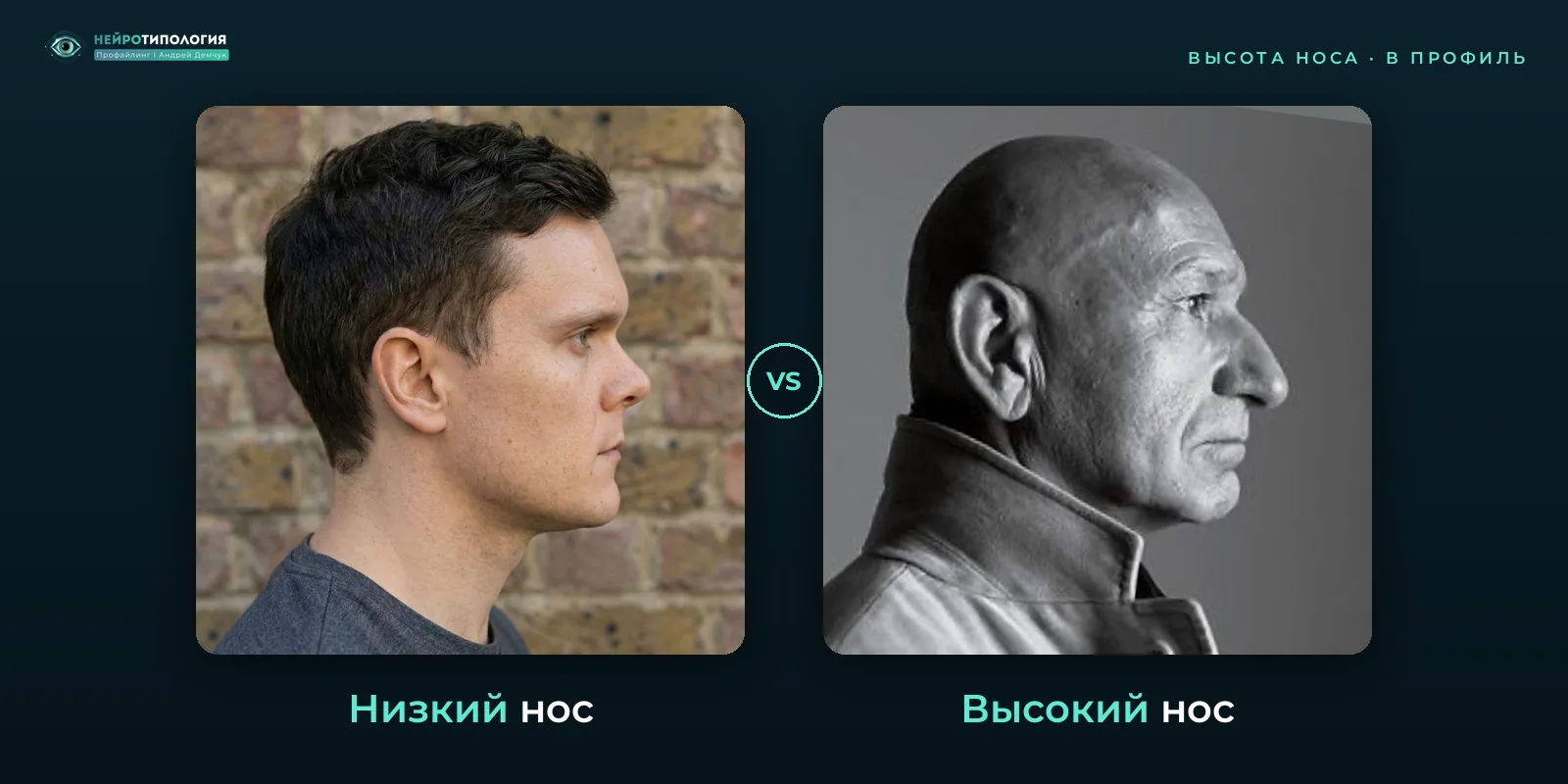 Низкий нос и высокий нос: сравнение, фото в профиль