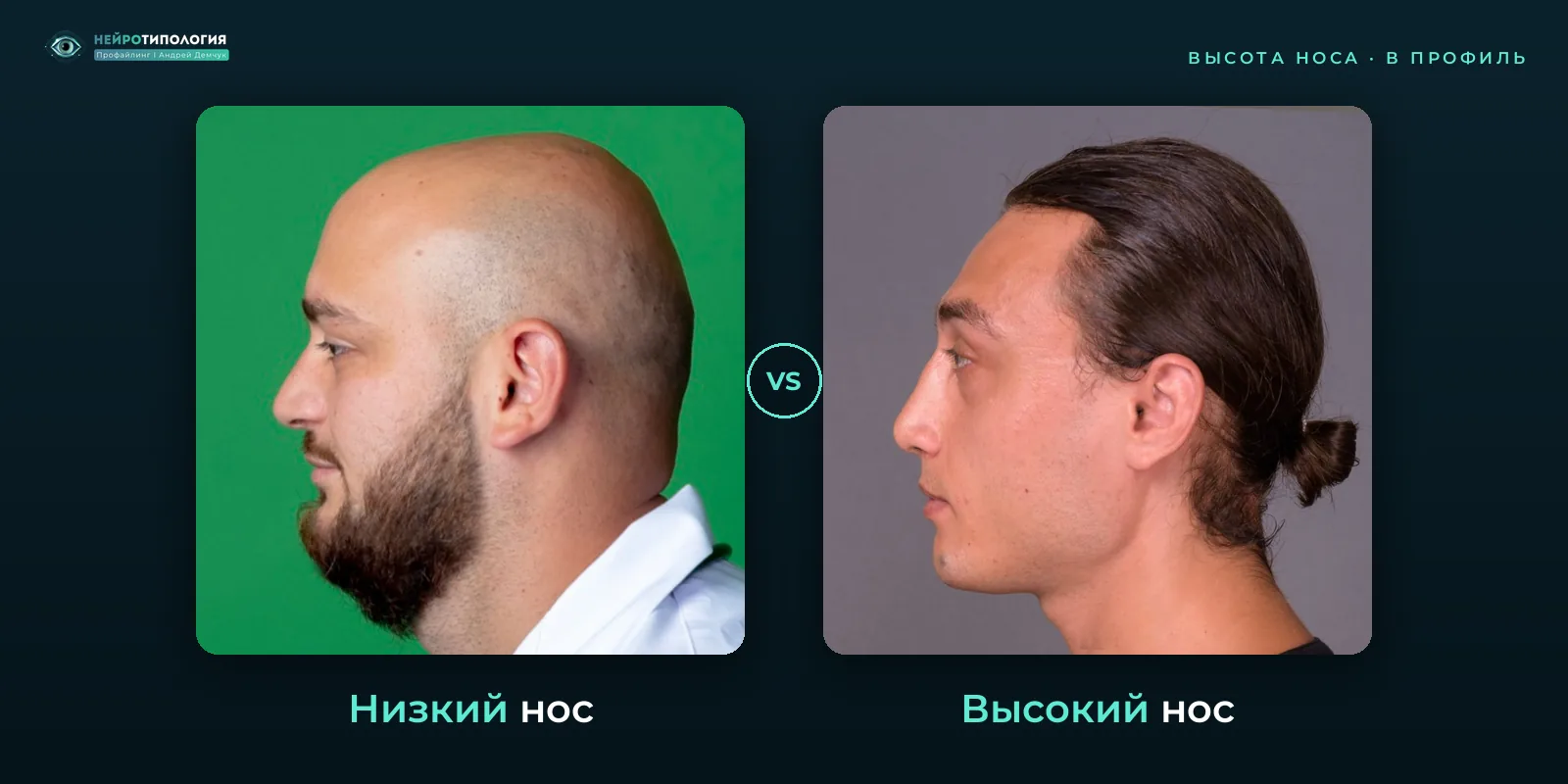Низкий нос и высокий нос: сравнение, фото в профиль