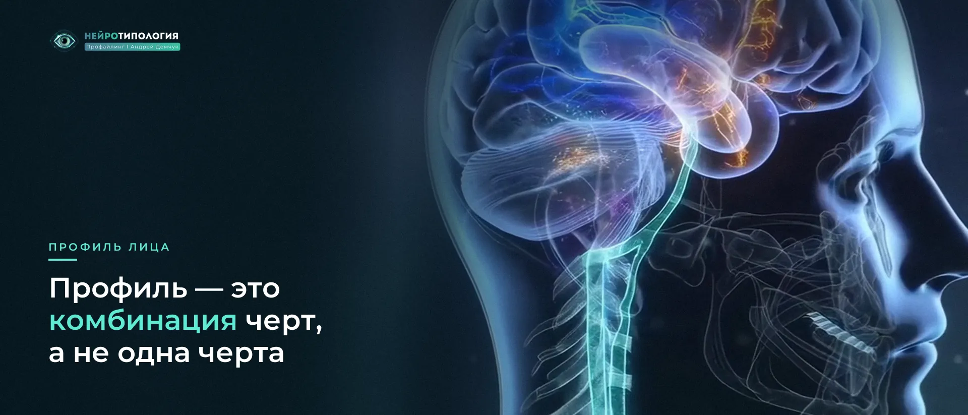 Профиль головы с подсвеченным мозгом Профиль головы с подсвеченным мозгом