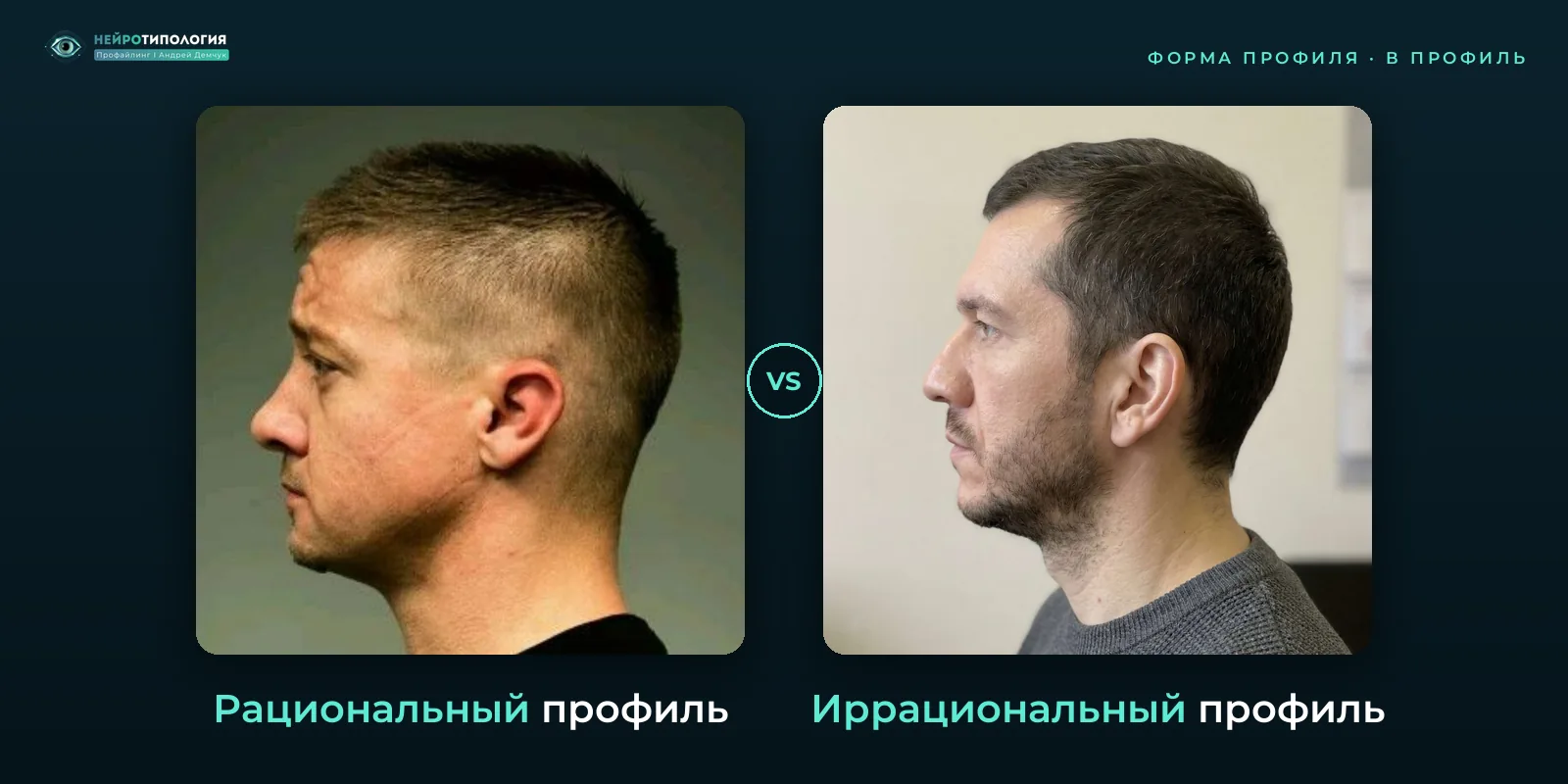 Рациональный профиль и иррациональный профиль: сравнение, фото в профиль Рациональный профиль и иррациональный профиль: сравнение, фото в профиль