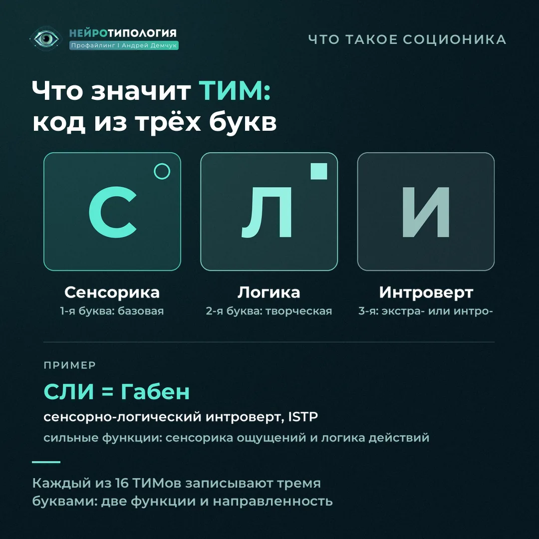 Что такое ТИМ в соционике: код из трёх букв на примере СЛИ (Габен)