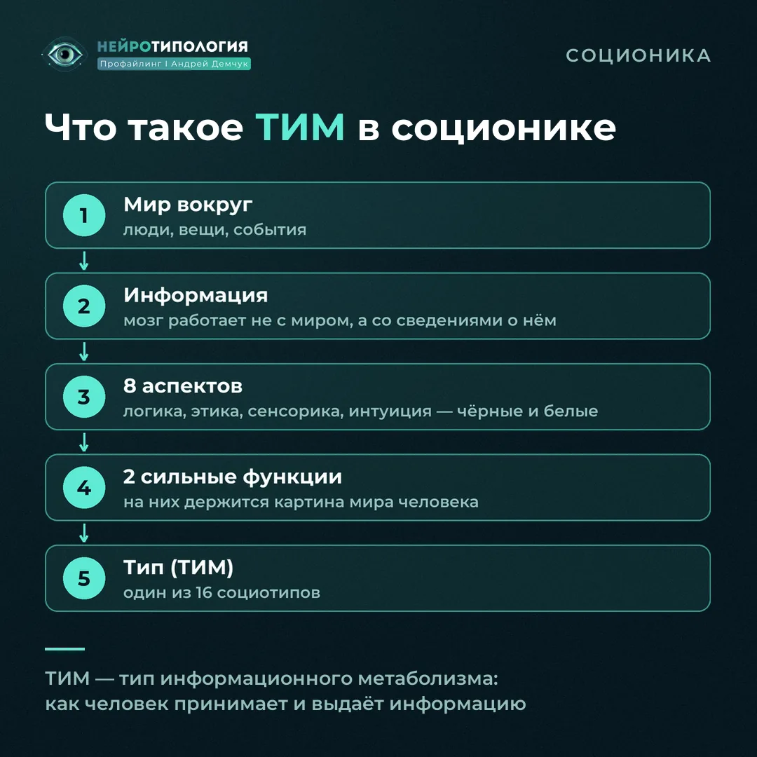 Схема: от информации к типу — что такое ТИМ (тип информационного метаболизма) в соционике